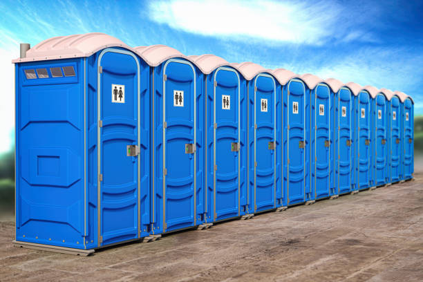 Best Portable Restroom Setup and Delivery  in Greenville, MI