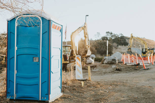 Best Standard Portable Toilet Rental  in Greenville, MI