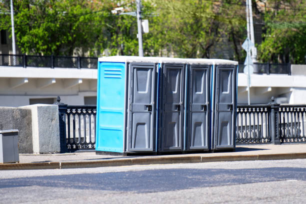 Best Deluxe Portable Toilet Rental  in Greenville, MI